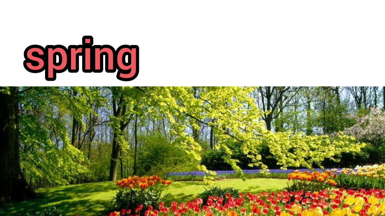How to Pronounce Spring in American English