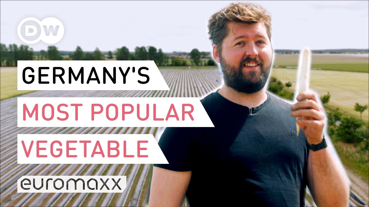 Why Are Germans So Crazy About White Asparagus? Going Asparagus Harvesting To Find Out