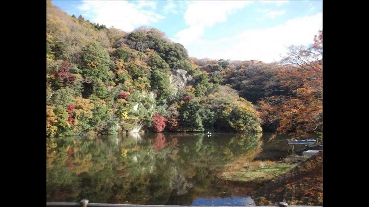 米倉利紀さん【ANNIVERSARY】