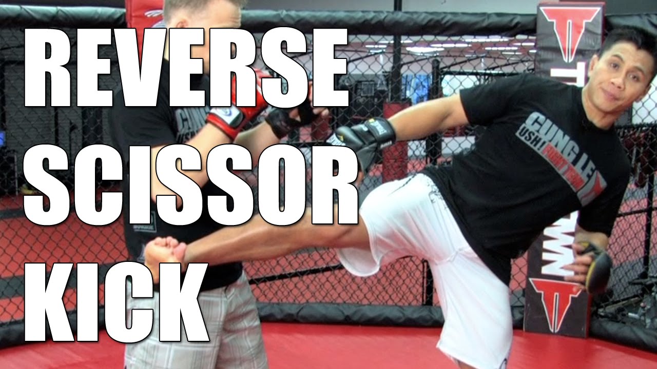 Reverse Scissor Kick : MMA Tips : Cung Le