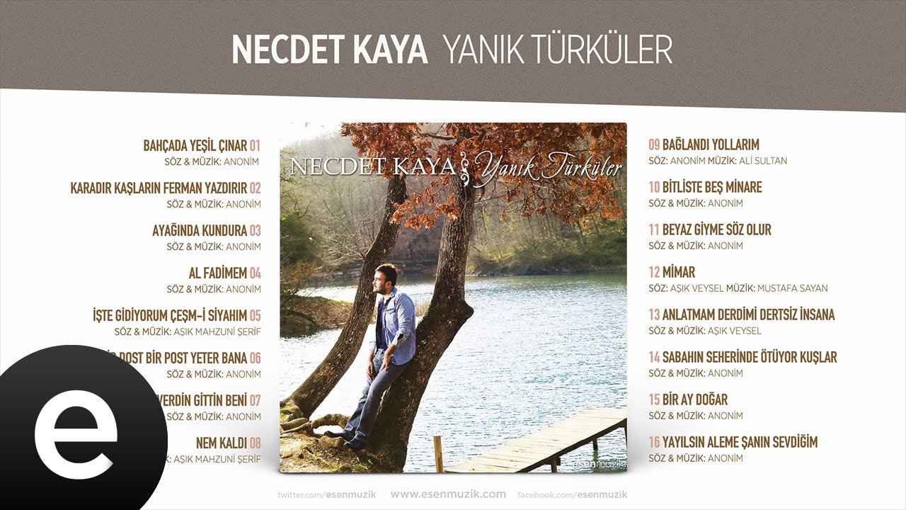 Bitliste Beş Minare (Necdet Kaya) Official Audio #bitlistebeşminare #necdetkaya - Esen Müzik