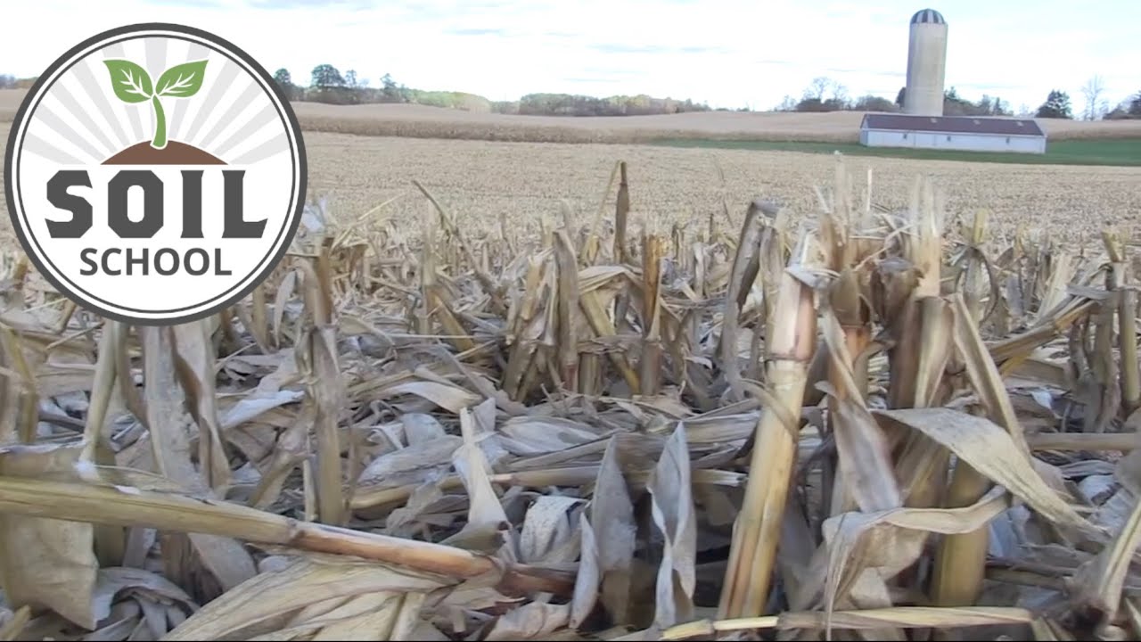 Soil School: Does organic matter really matter?