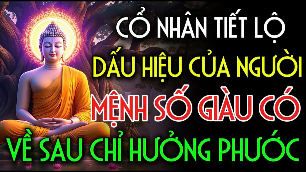 CỔ NHÂN TIẾT LỘ, NGƯỜI MANG MỆNH GIÀU CÓ, VỀ SAU CHỈ HƯỞNG PHƯỚC | Nhân Tâm Chỉ Lộ