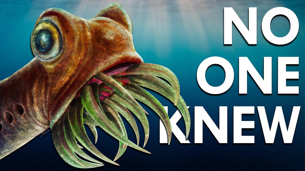 What On Earth Were The Conodonts?