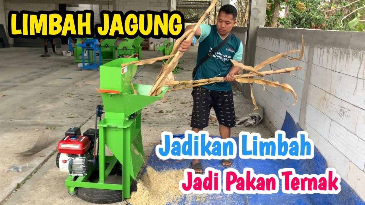 Jadikan Limbah Jagung Jadi Pakan Ternak Dengan Mesin Km 3000 #mesinkomposmultifungsi