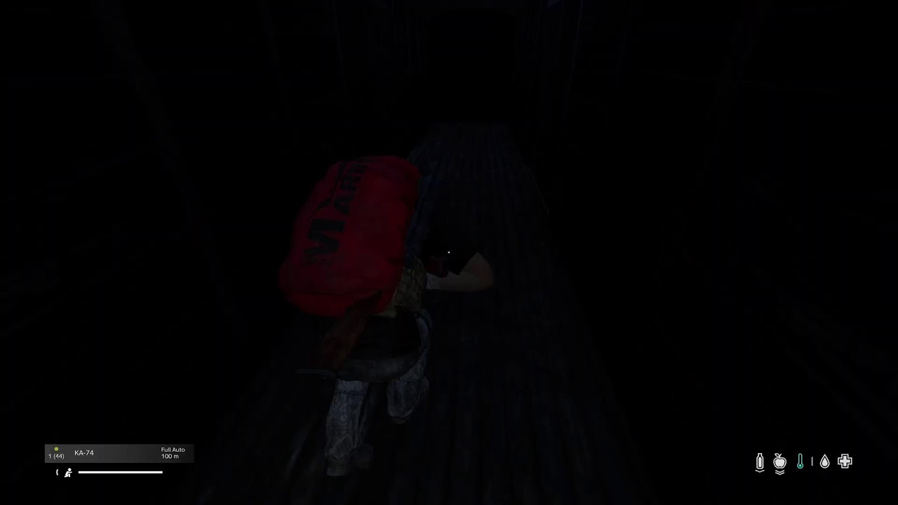 DayZ