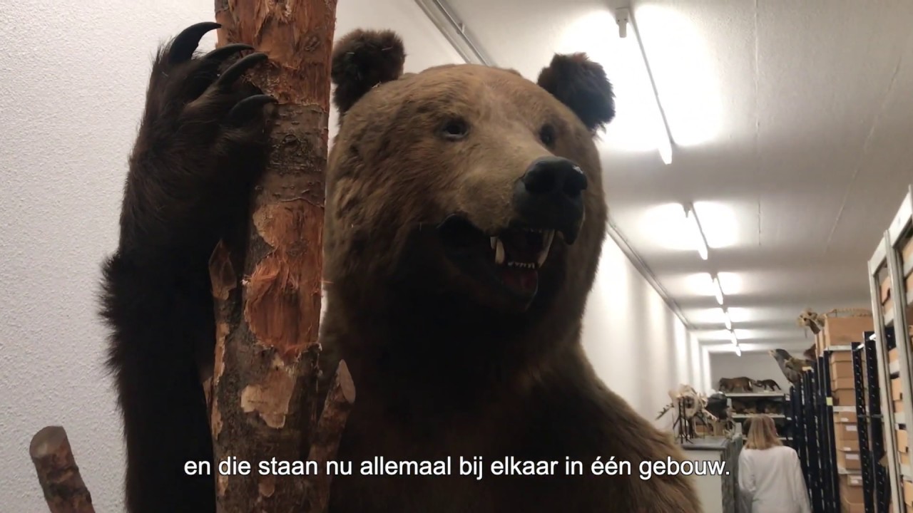 Naturalis bouwt - vlog 4: Onze collectie