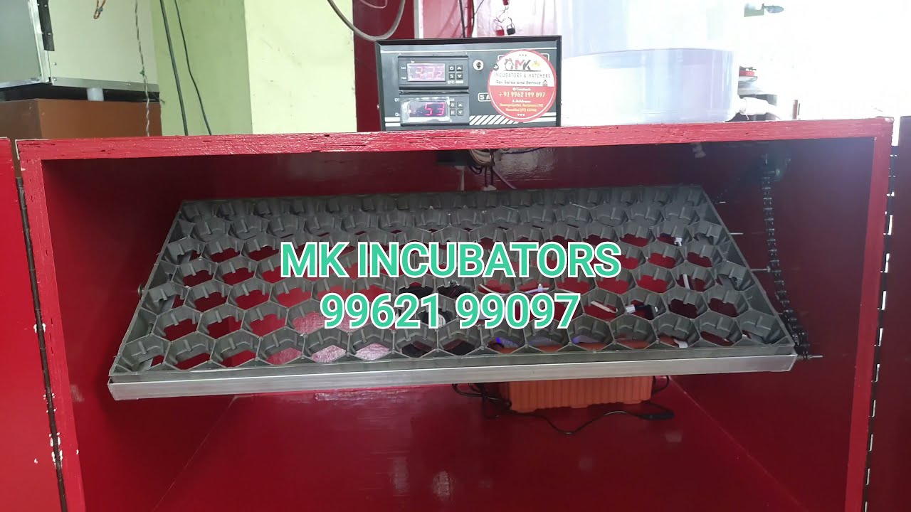 100 egg fully automatic incubator NAMAKKAL #shorts