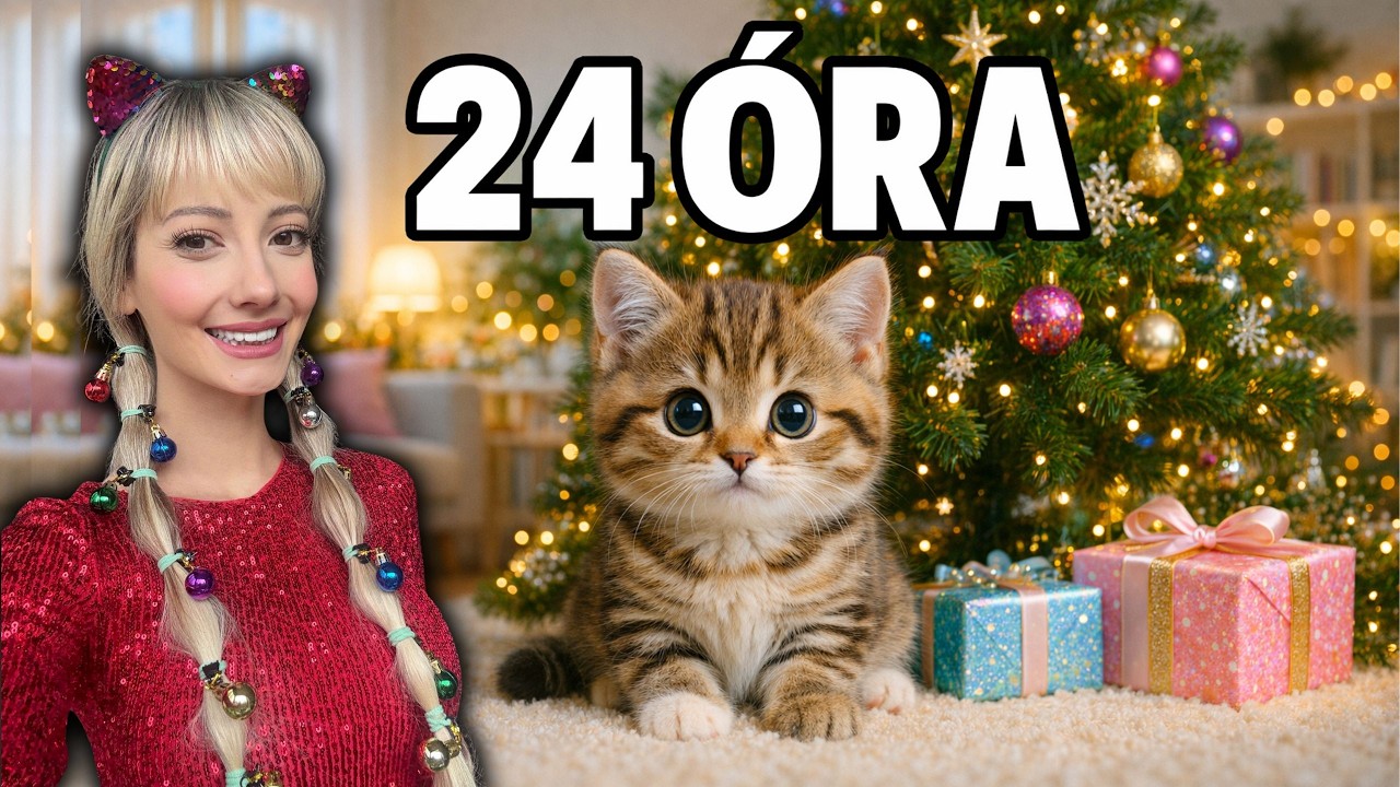 24 ÓRA KARÁCSONYKOR EGY KISCICÁVAL❤️🐱 #24óra #karácsony