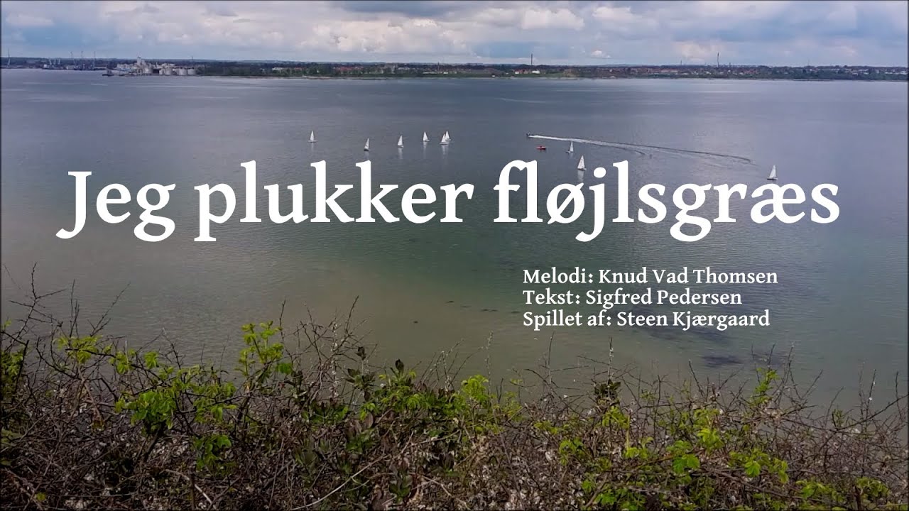 Jeg plukker fløjlsgræs