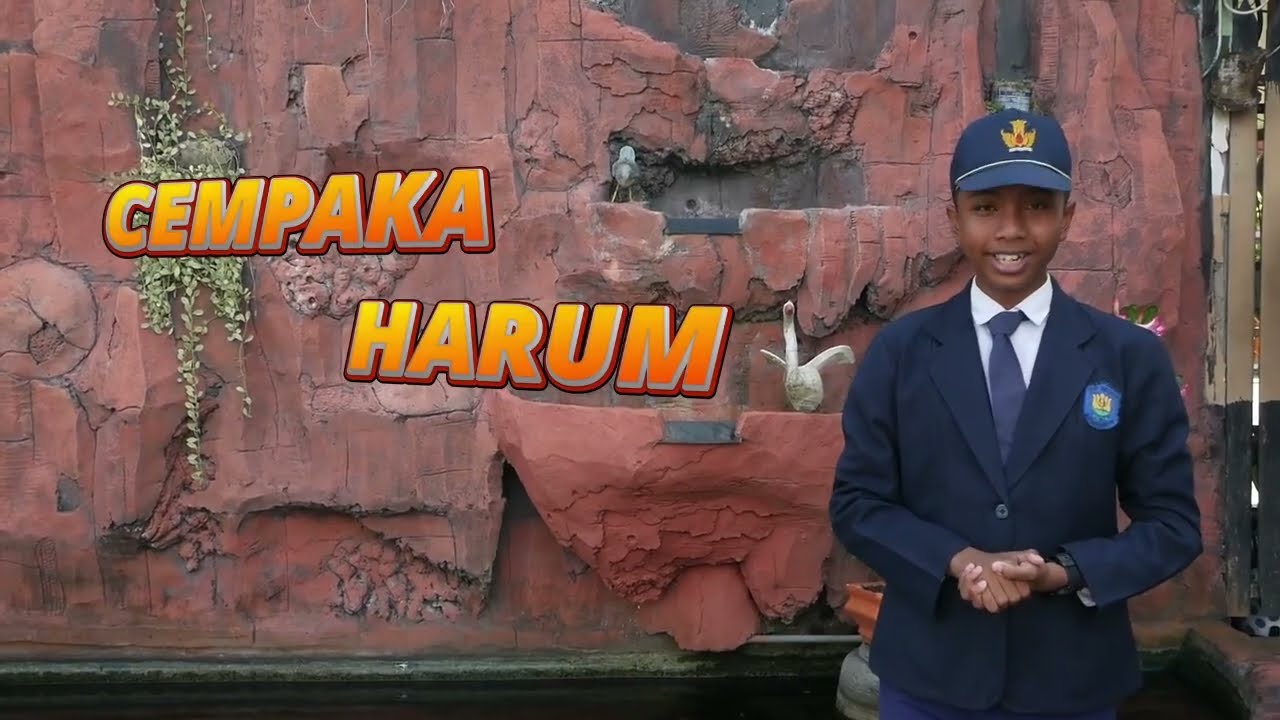 SMP Negeri 9 Banjarmasin - Video Lomba Vlog Pojok Literasi #pojokliterasismpbanjarmasin