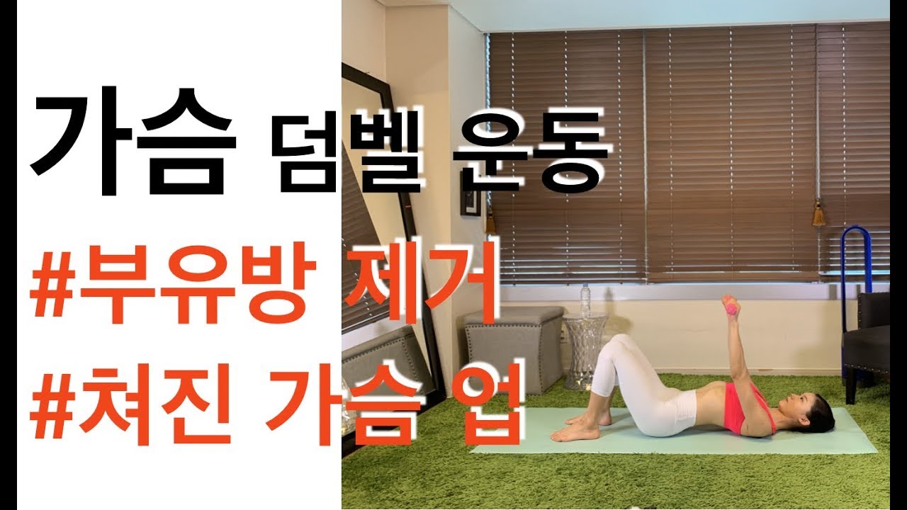 가슴 덤벨 운동( chest dumbbell) - 강하나 스트레칭(2019.05)