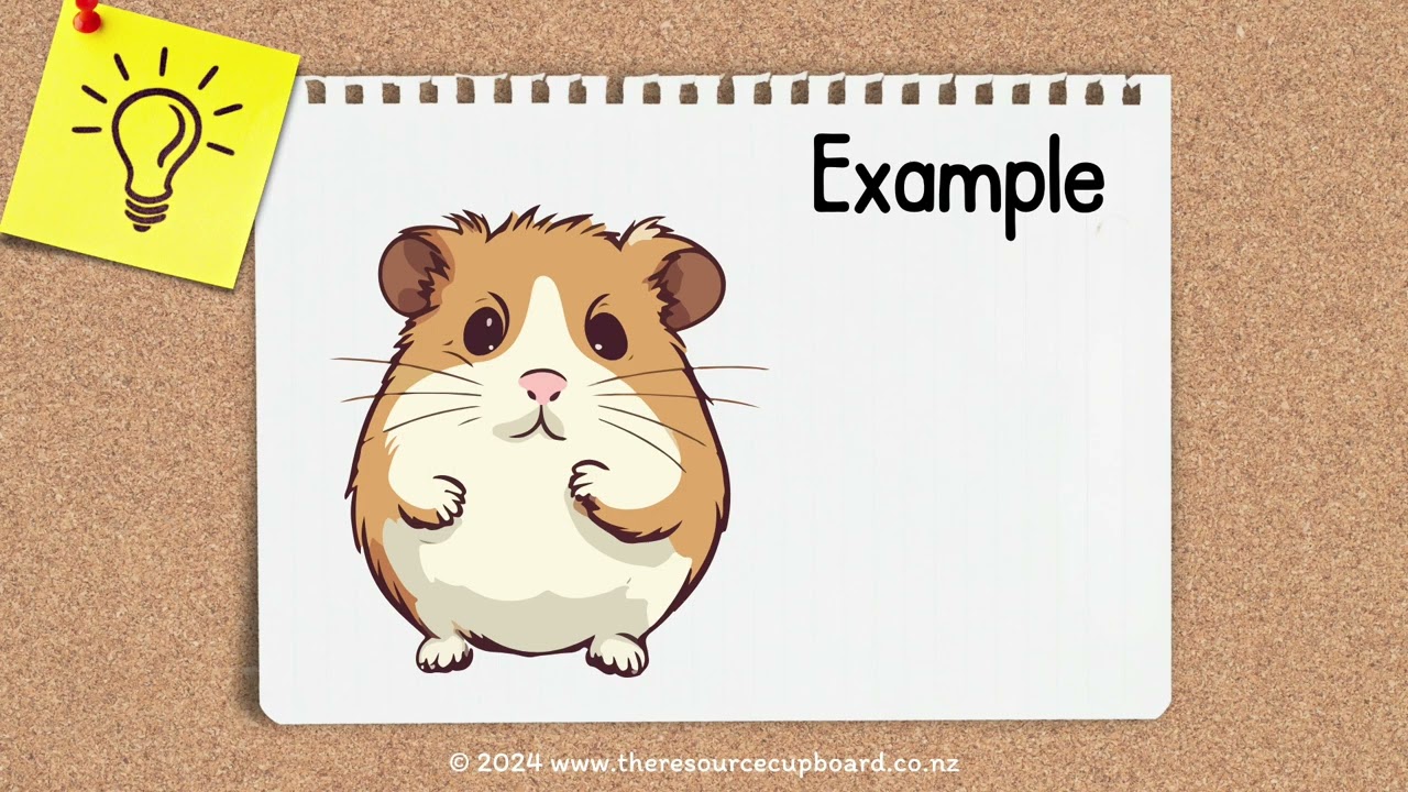 Exploring Conscious Communication comparing Observations and Evaluations Explainer Video
