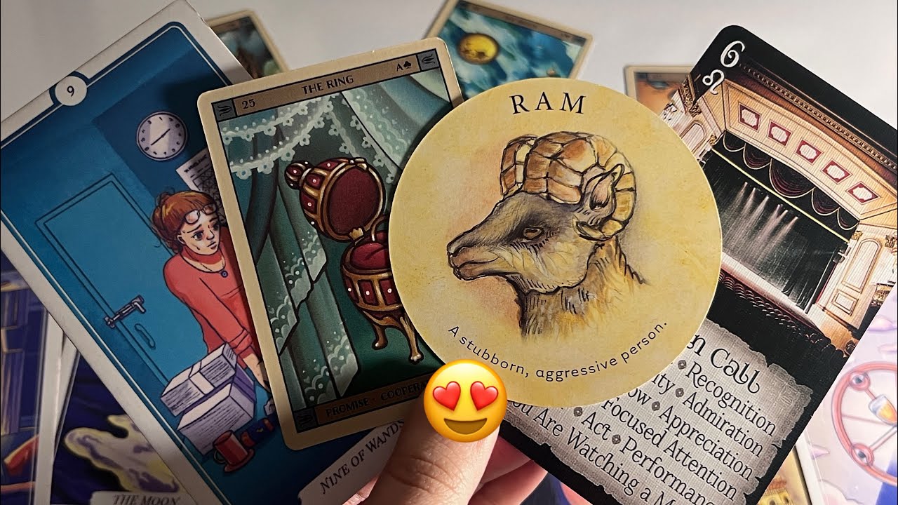 Person on your mind : Current Feeling/emotions for you & Next move💞Hindi tarot card reading