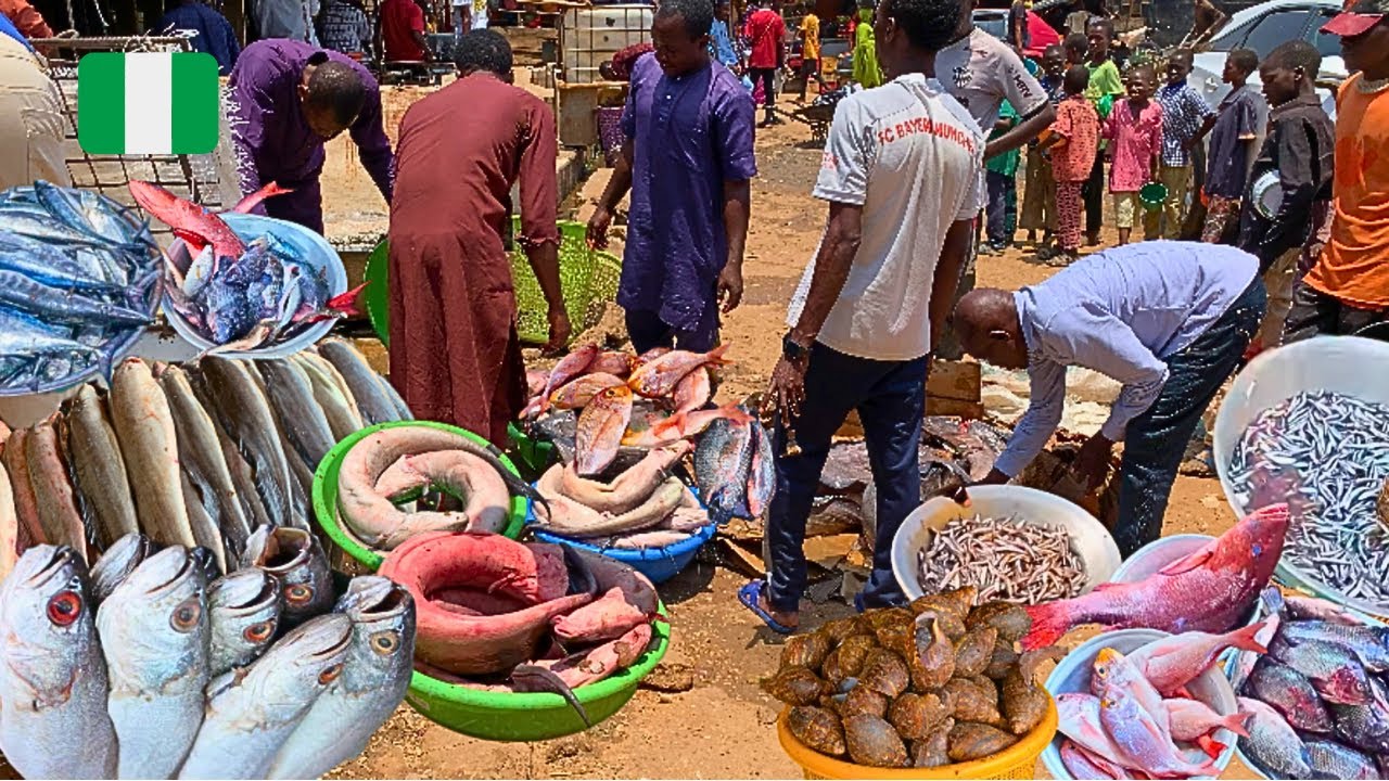 Fish Market in Abuja, Nigeria 🇳🇬 West Africa