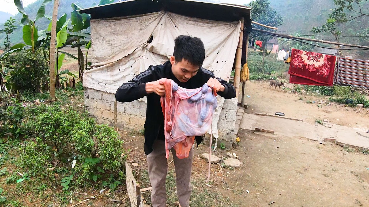 MÓN NGON TRƯỜNG SINH BẤT LÃO | Nhịp Sống Thường Ngày