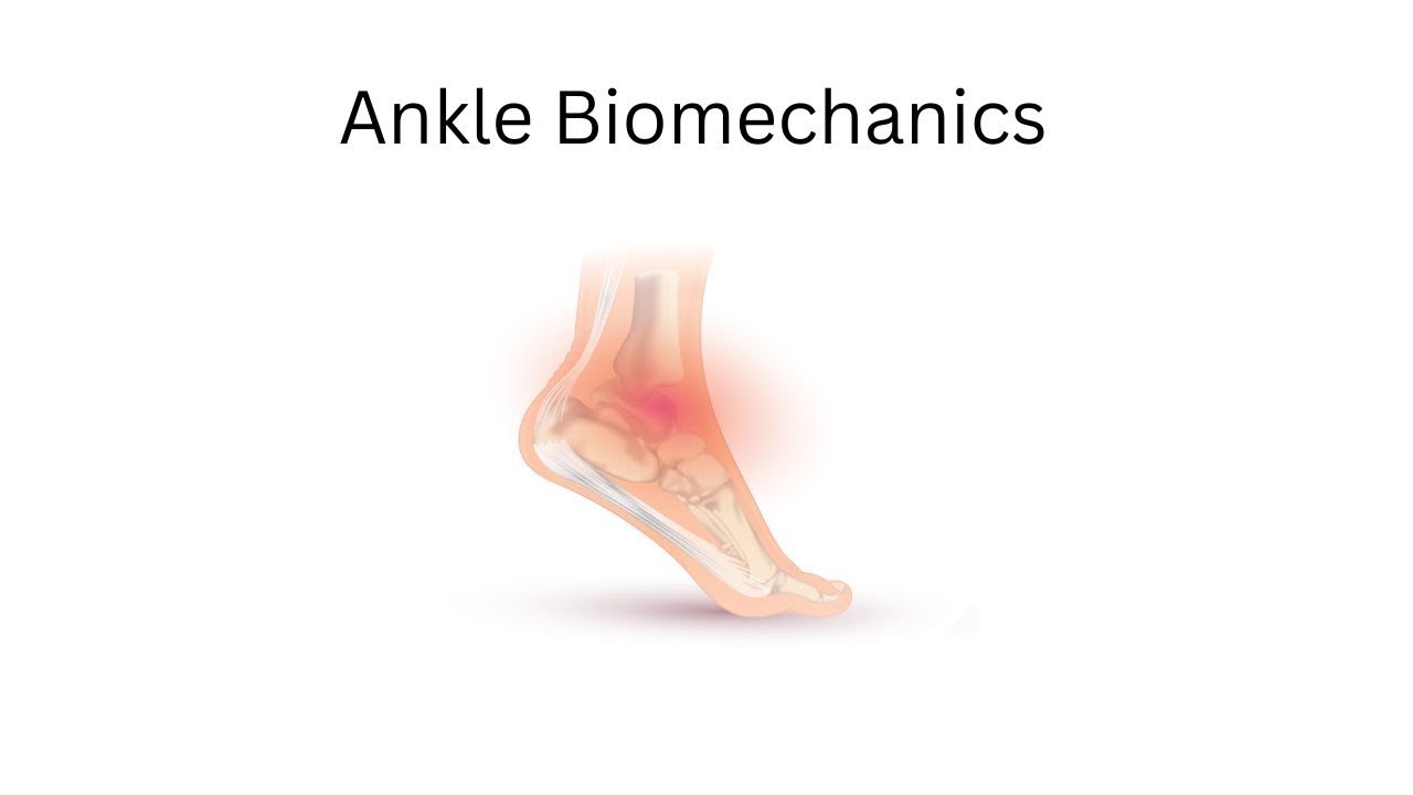 Ankle Joint Biomechanics: Dorsiflexion and Plantarflexion