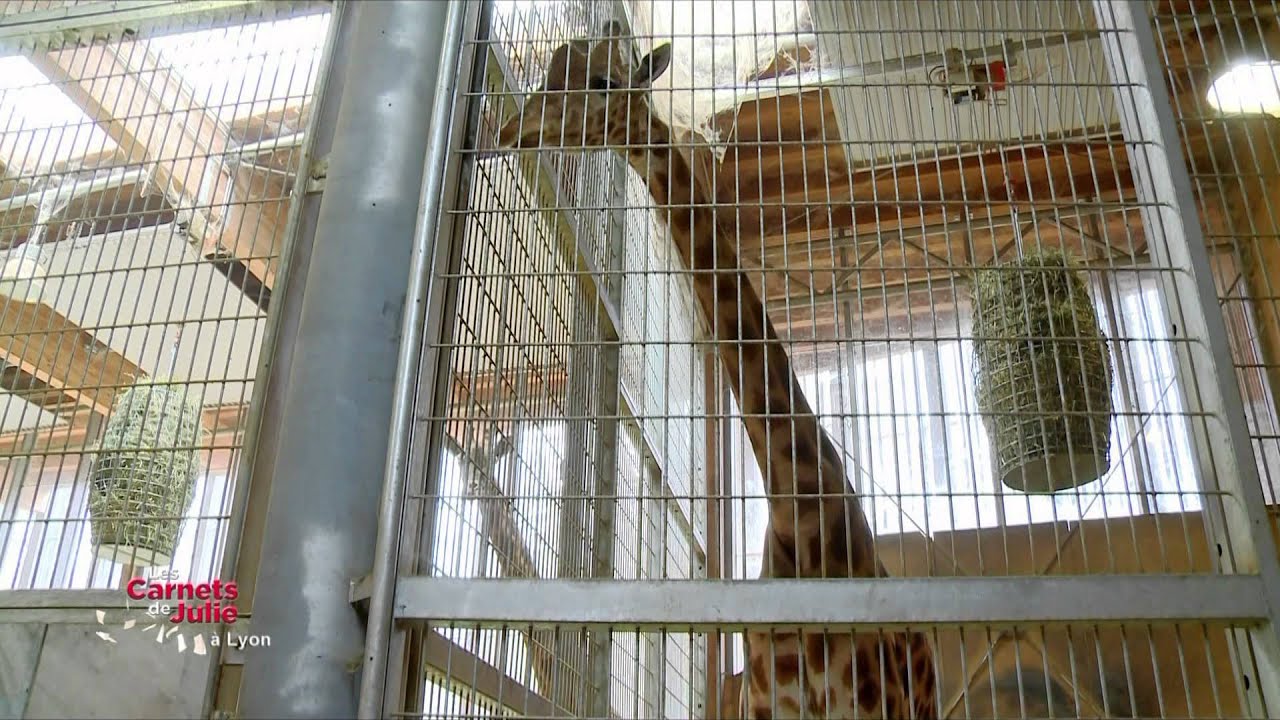 Lyon - Les carnets de Julie