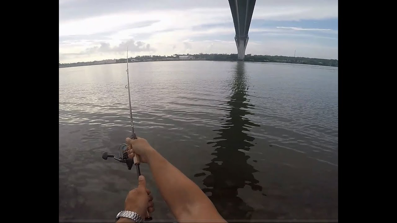 Pesca Puente Tampico 24 Julio 2022