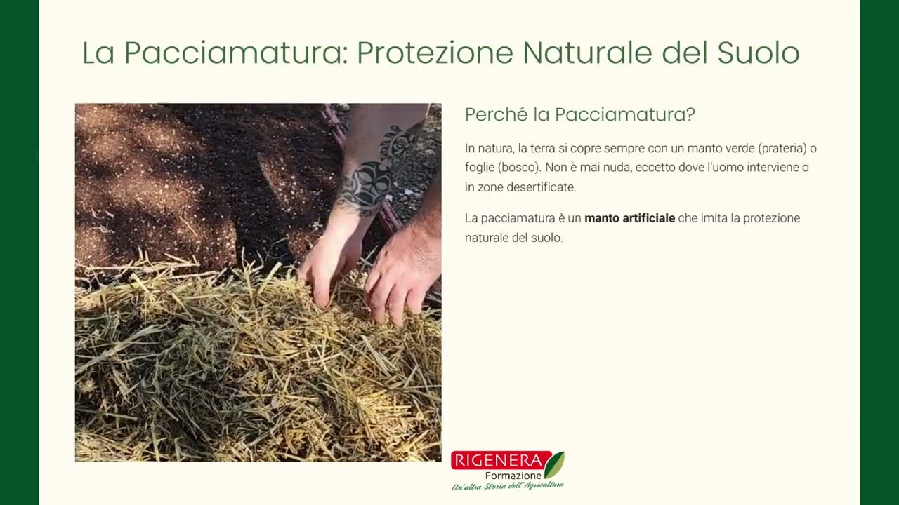 Irrigazione e Pacciamatura nell'Orto Sinergico: Guida Pratica Completa