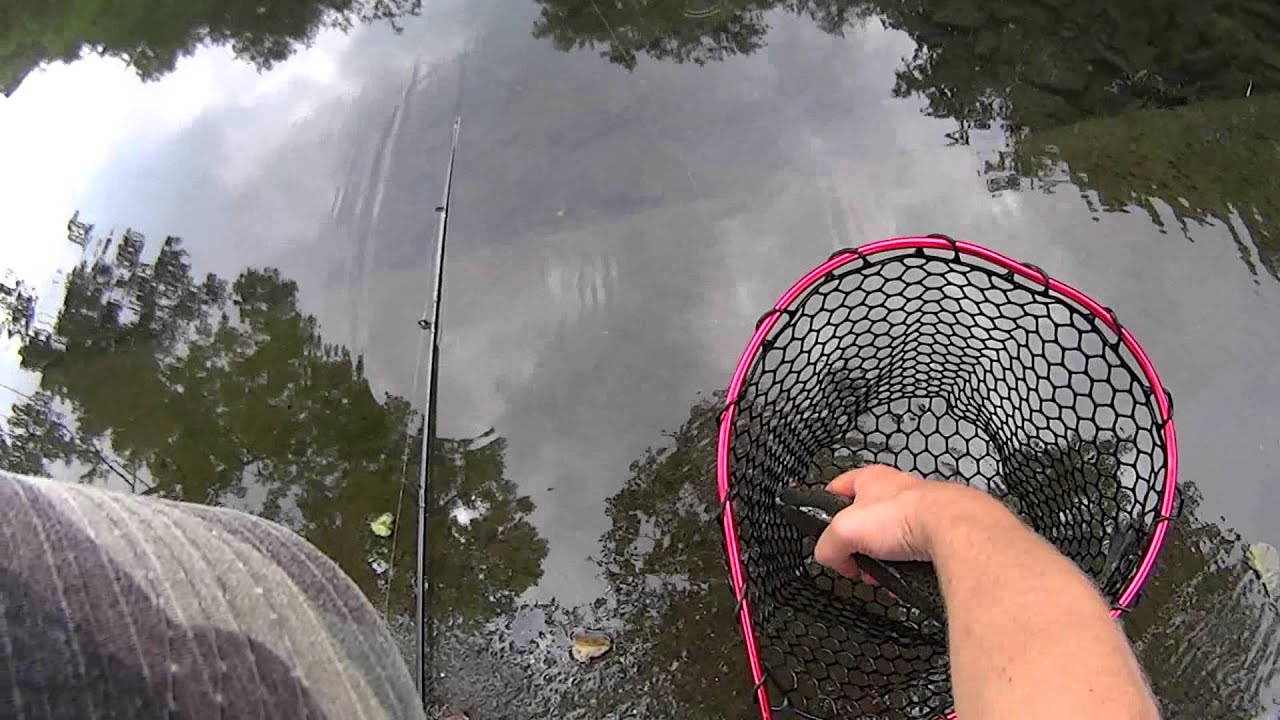 Pêche à Luxembourg - truite arc en ciel au leurre souple