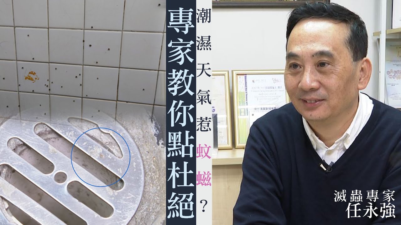 【on.cc東網】你要知：蚊螆殺之不絕？　3招助你杜絕蛾蚋