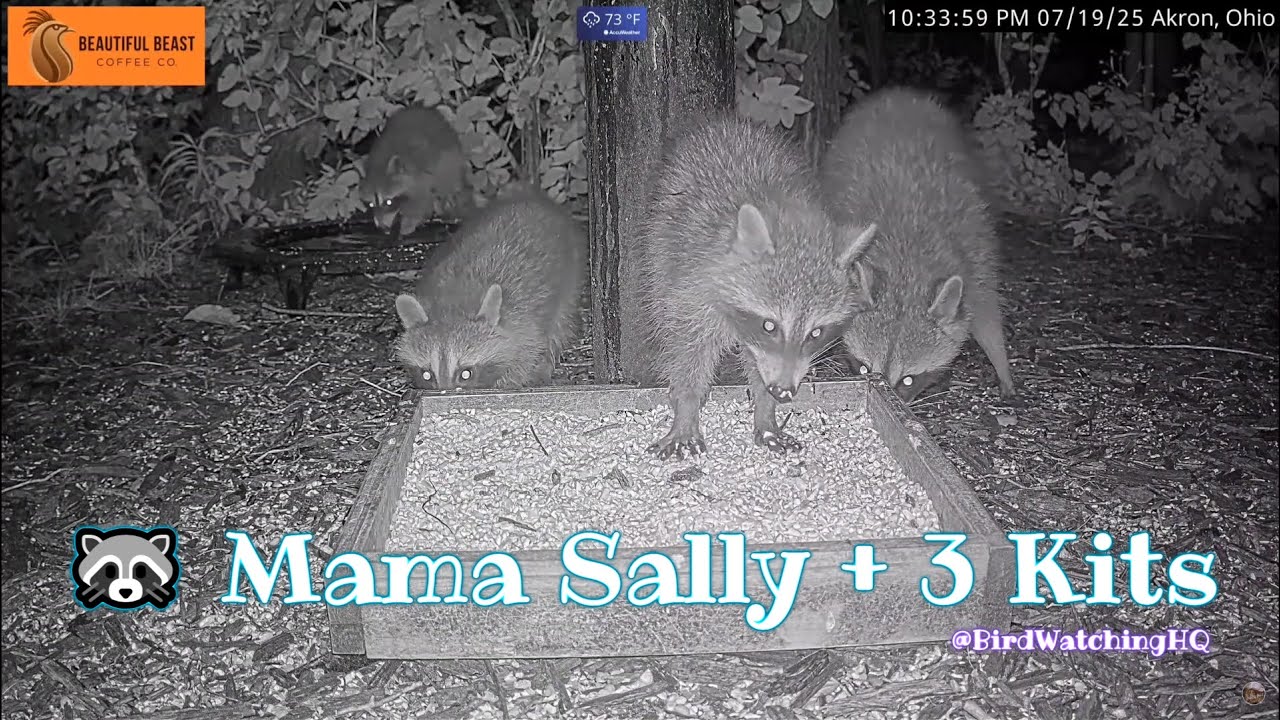 Mama 🦝 Sally + 3 Kits @BWHQ - 7.19.25