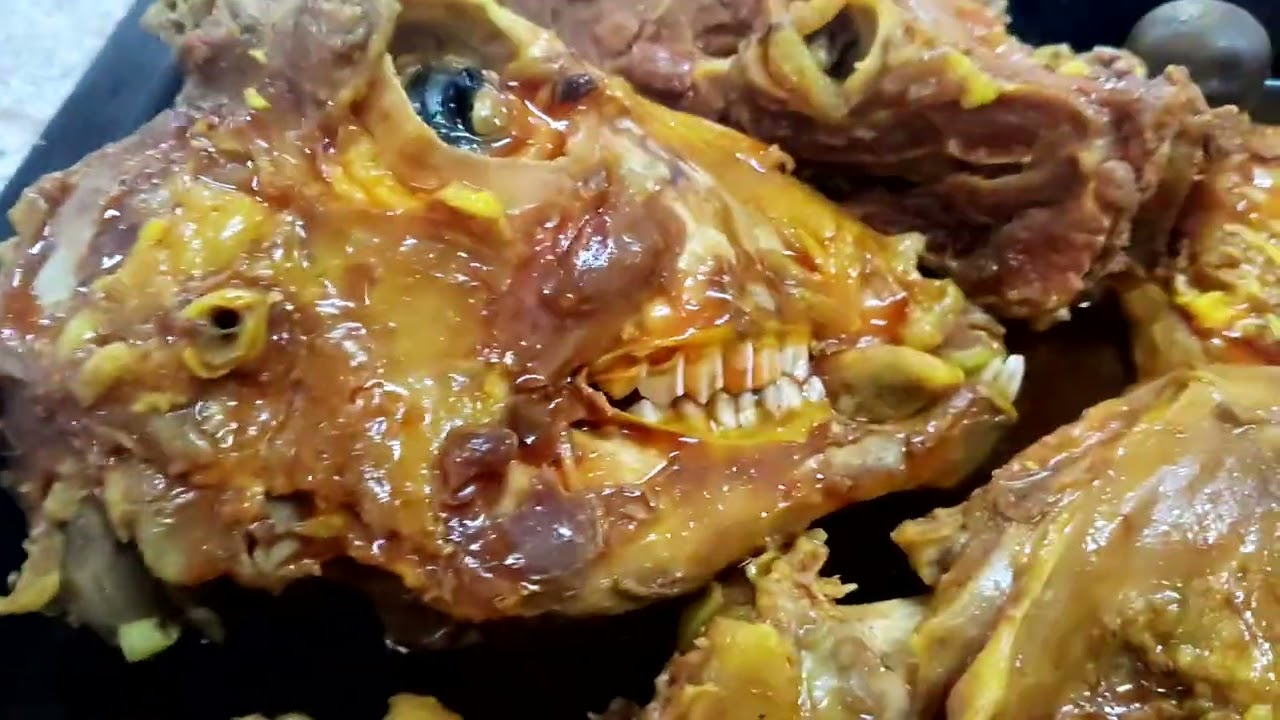 ഇന്നത്തെ ഡ്യൂട്ടി 🥰#video #