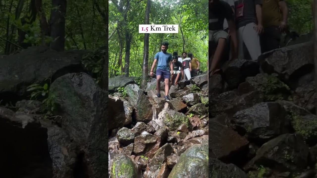 Kosmal waterfall & bhigu dodh #dang #waterfalls