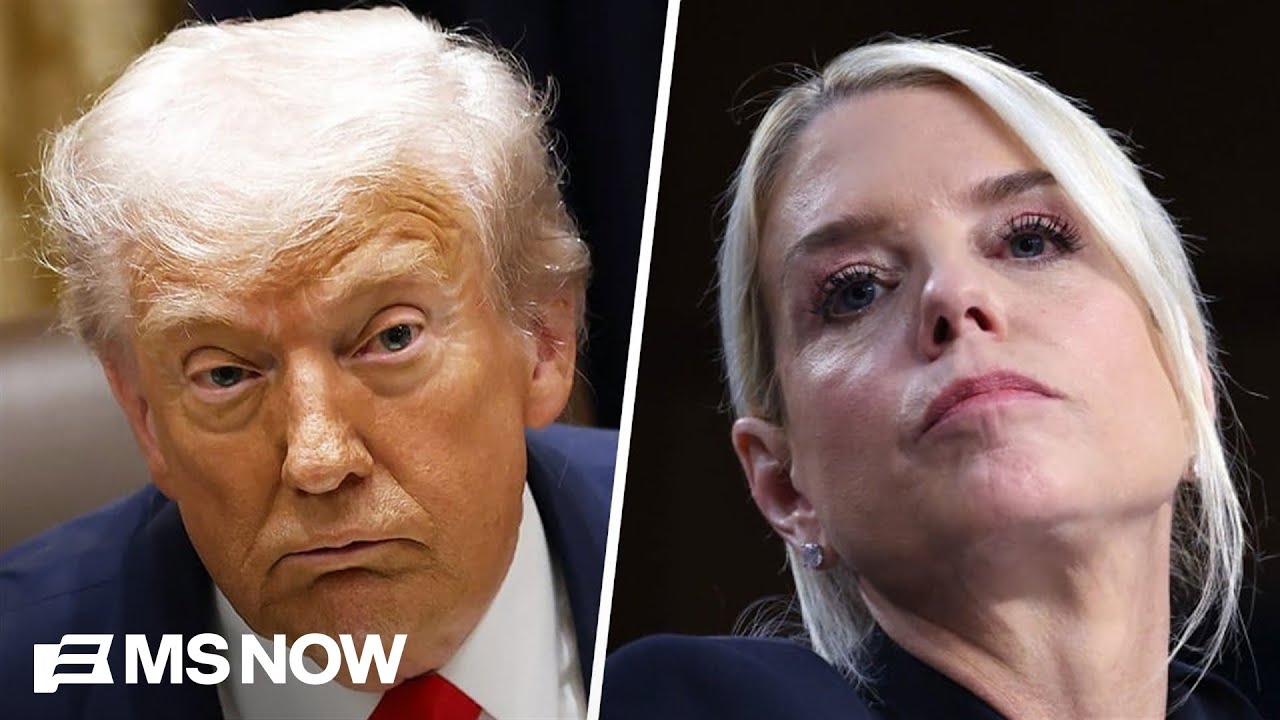 &lsquo;What a totalitarian government looks like!&rsquo;: Dem Rep. calls on Americans to &lsquo;wake up&rsquo; on Trump DOJ