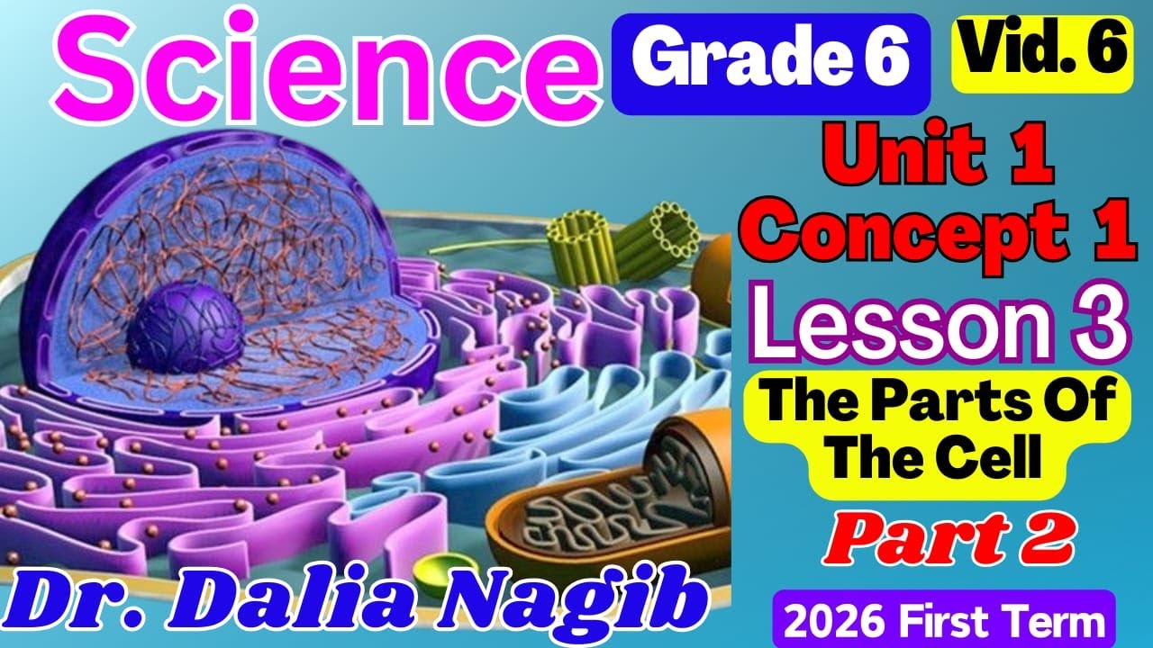 ساينس سادسة ابتدائى ترم اول  𝐆𝐫𝐚𝐝𝐞 6 Science 𝐂𝐨𝐧𝐜𝐞𝐩𝐭 1️⃣ 𝐋𝐞𝐬𝐬𝐨𝐧 3️⃣  P#  2️⃣ The Parts  Of The Cell