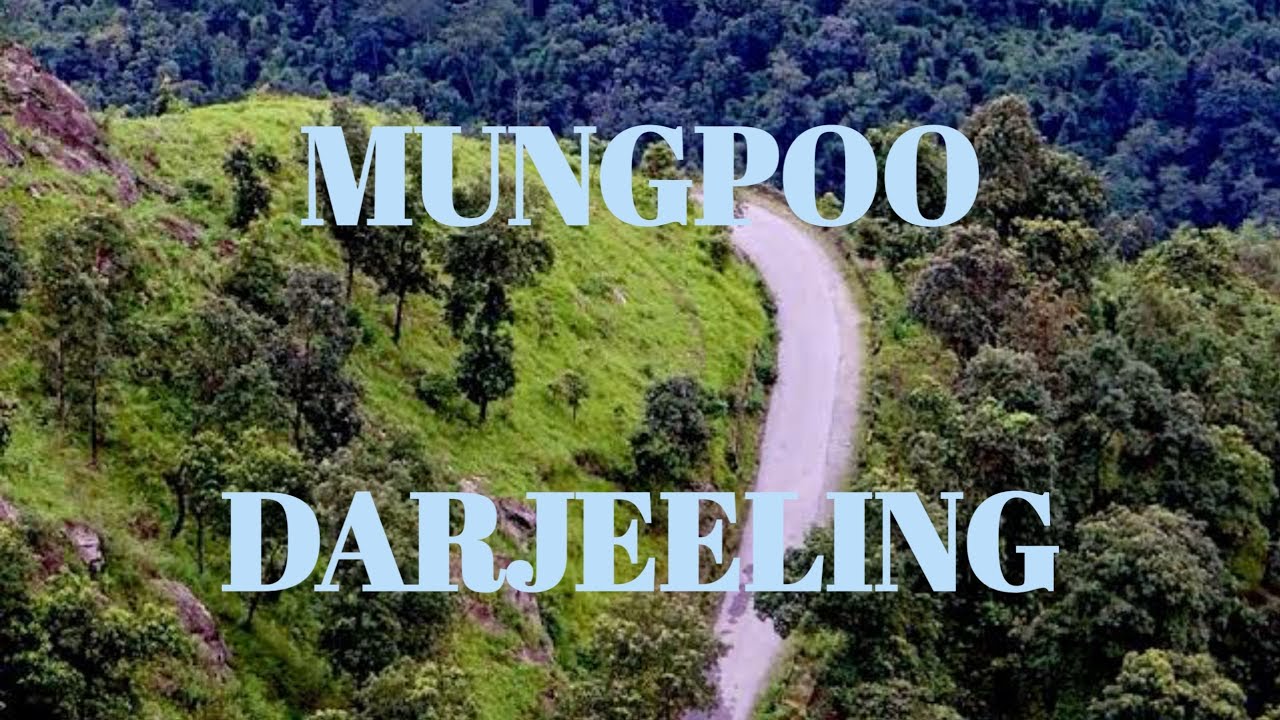 Beautiful Road Of Mungpoo / District Darjeeling/ Cinchona Plantation