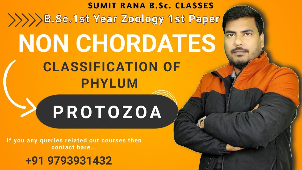 Classification Of Phylum Protozoa || Non Chordates || Sumit Rana Sir