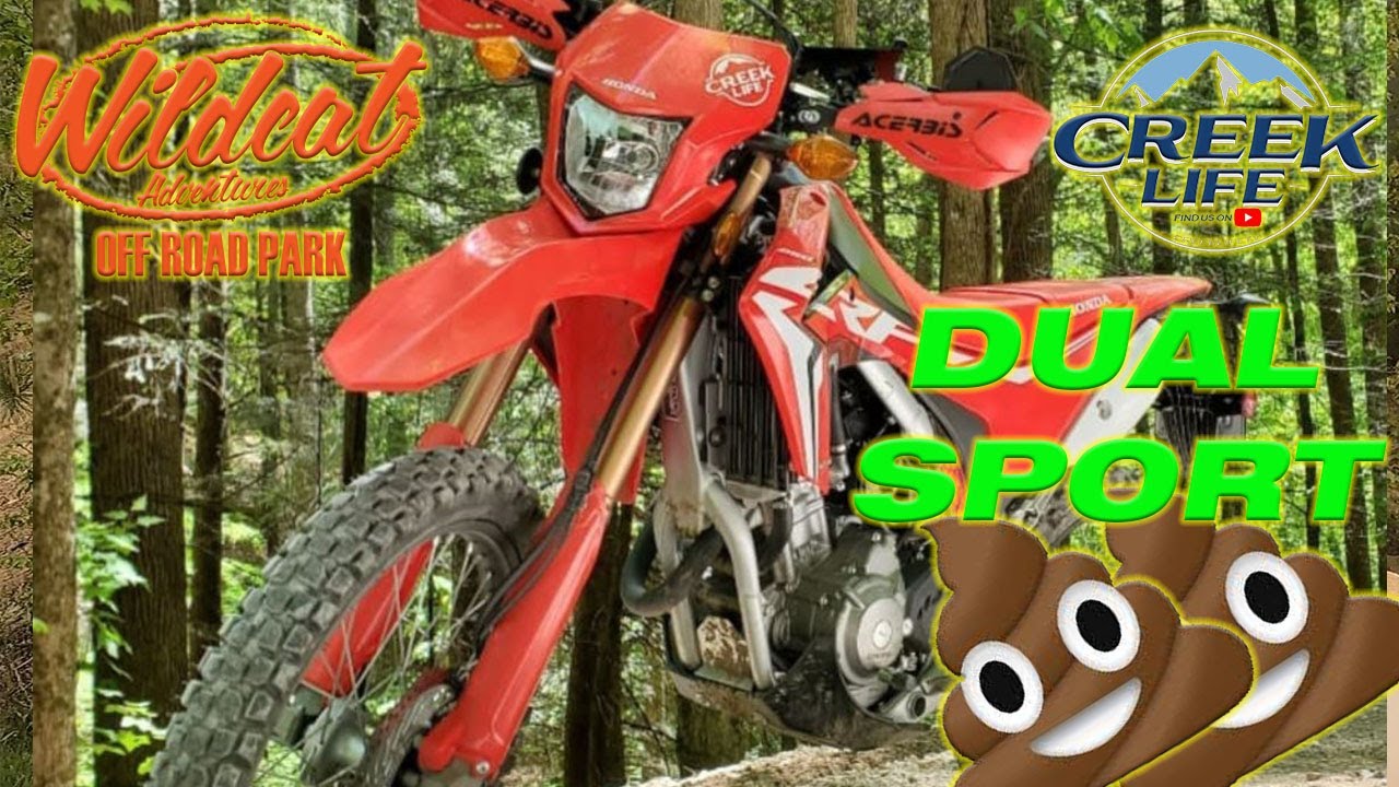 I Took My Dual Sport To An Off-Road Park - Honda CRF 250L