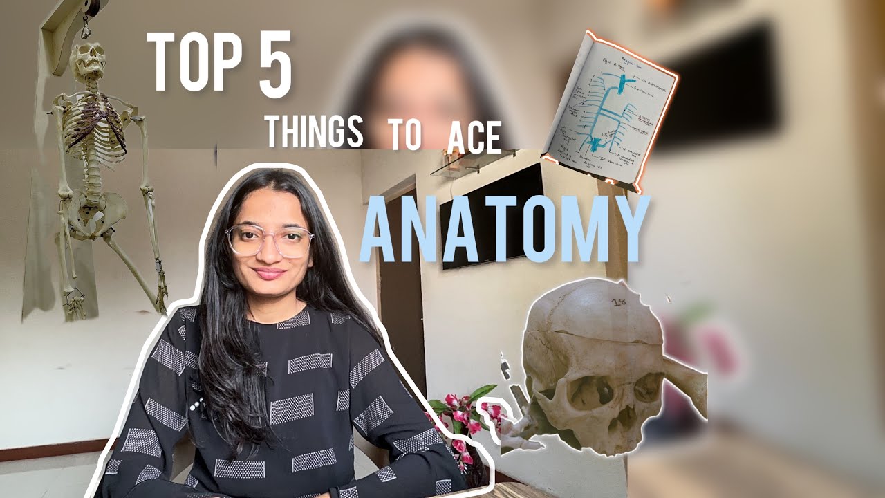 Top 5 Things To Improve ANATOMY✍️💪🏻