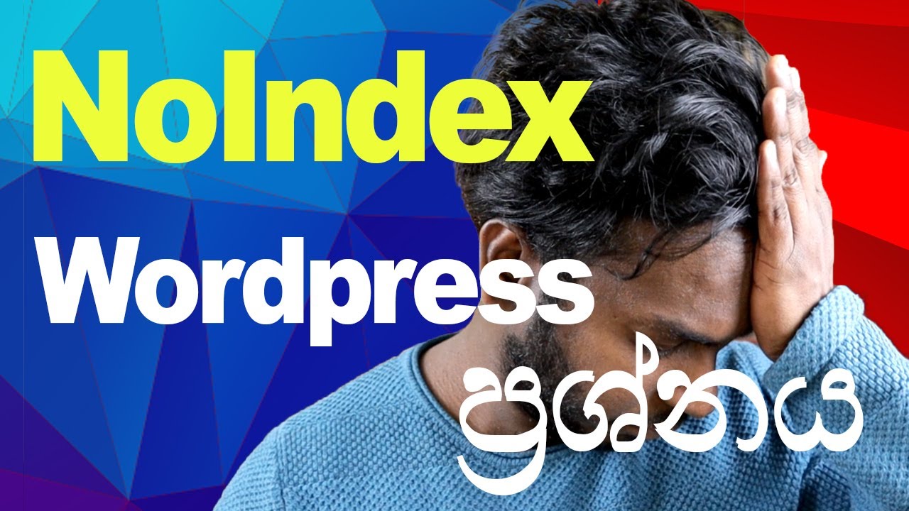 Noindex Website Issue - කොහොමද මේ ප්‍රශ්නය විසදන්නේ?