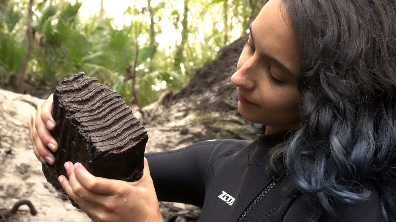 We Found a MAMMOTH TOOTH while Scuba Diving in Florida!