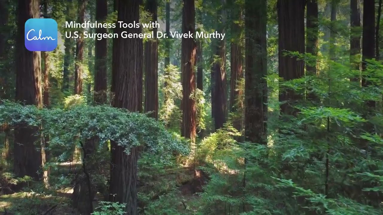 Calm | Mindfulness Tools with U.S. Surgeon General Dr. Vivek Murthy - Introduction