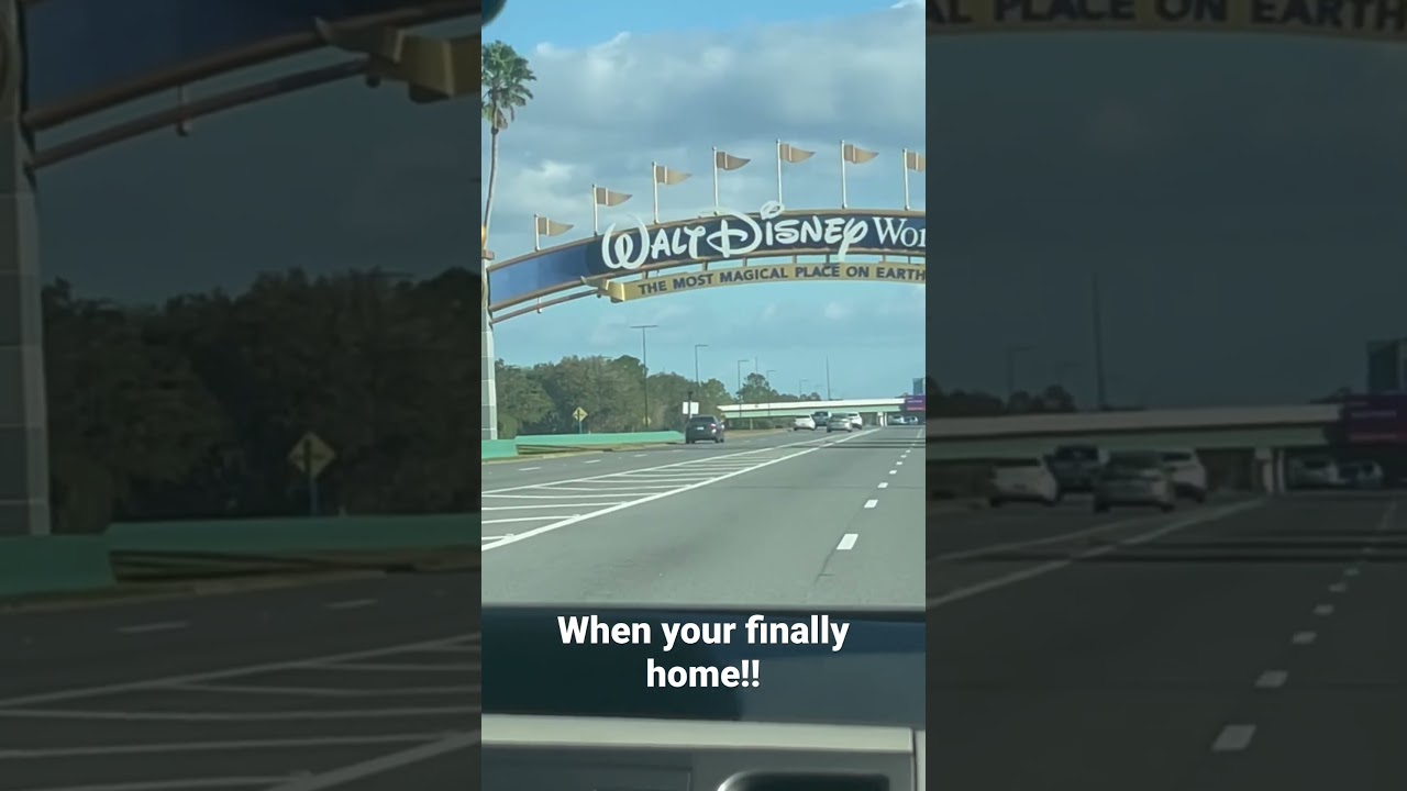 Crossing the Disney World sign feeling #waltdisneyworld #disneyworld #disneypark