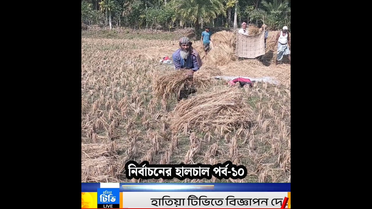 জামাত না বিএনপি সরকার গঠন করবে | হাতিয়ায় কাকে নির্বাচনে ভোট দিবেন? নির্বাচনের হালচাল | পর্ব-১০