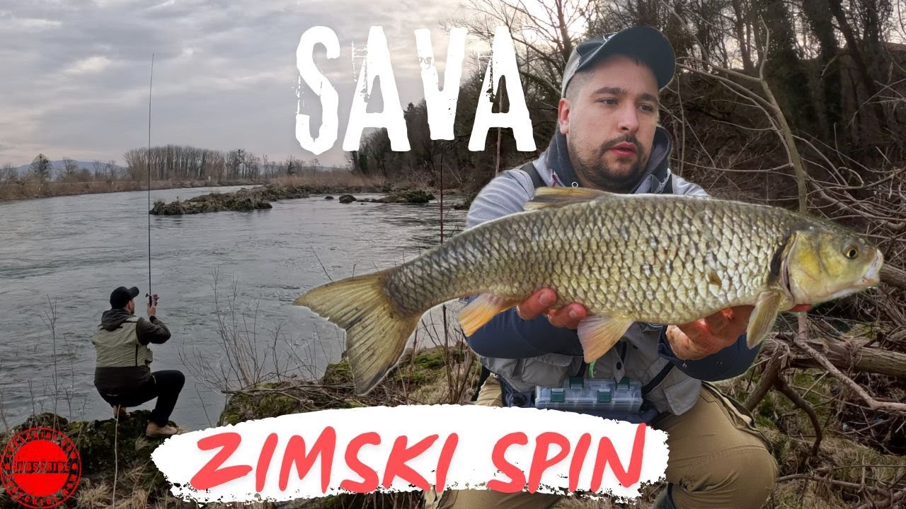 Zimski spin klena - winter chub spinning