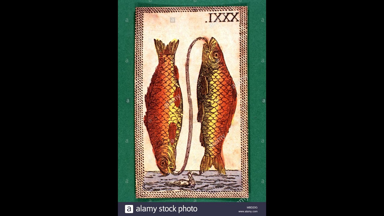 L'HOMME POISSON ♓ ♂️ #vous/votrehommePOISSON #guidance