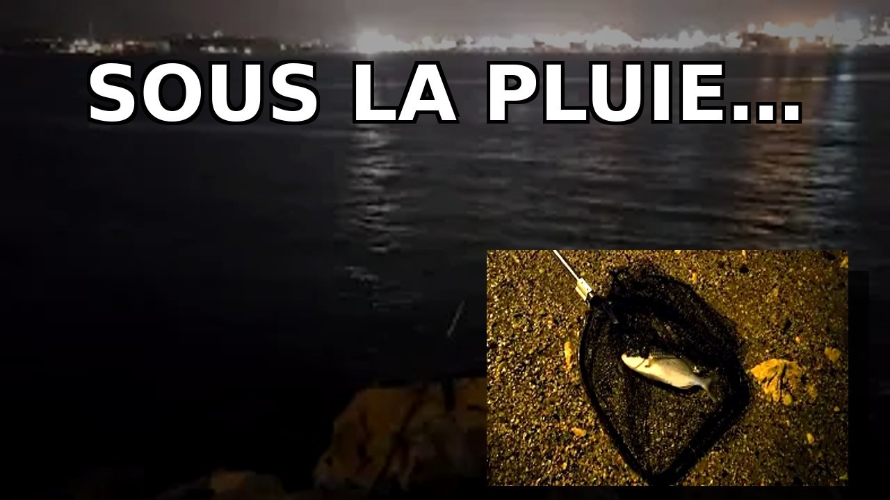 ASMR Pêche sous la pluie 🌧️ Sons apaisants de la mer + Dorade royale