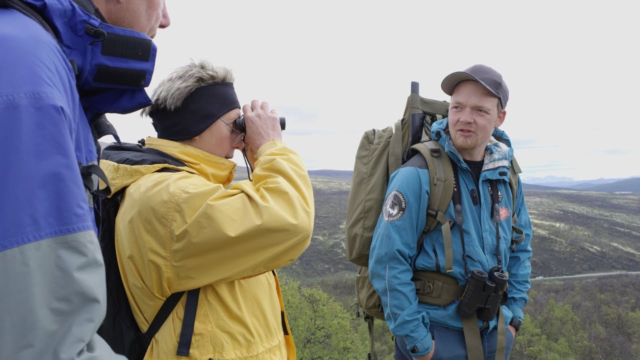 Moskusstien — Dovrefjell