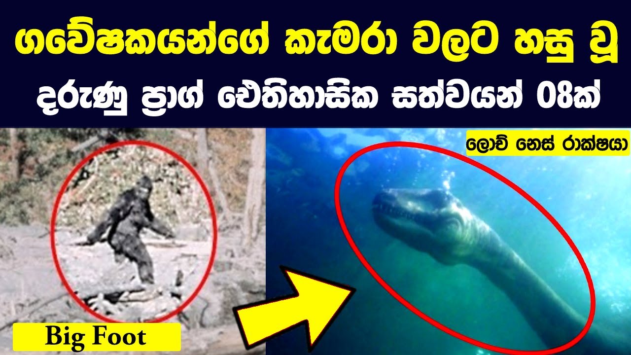 ගවේෂකයන්ගේ කැමරා වලට හසු වූ දරුණු ප්‍රාග් ඓතිහාසික සතුන් 08 |Prehistoric Creatures Caught On Camera