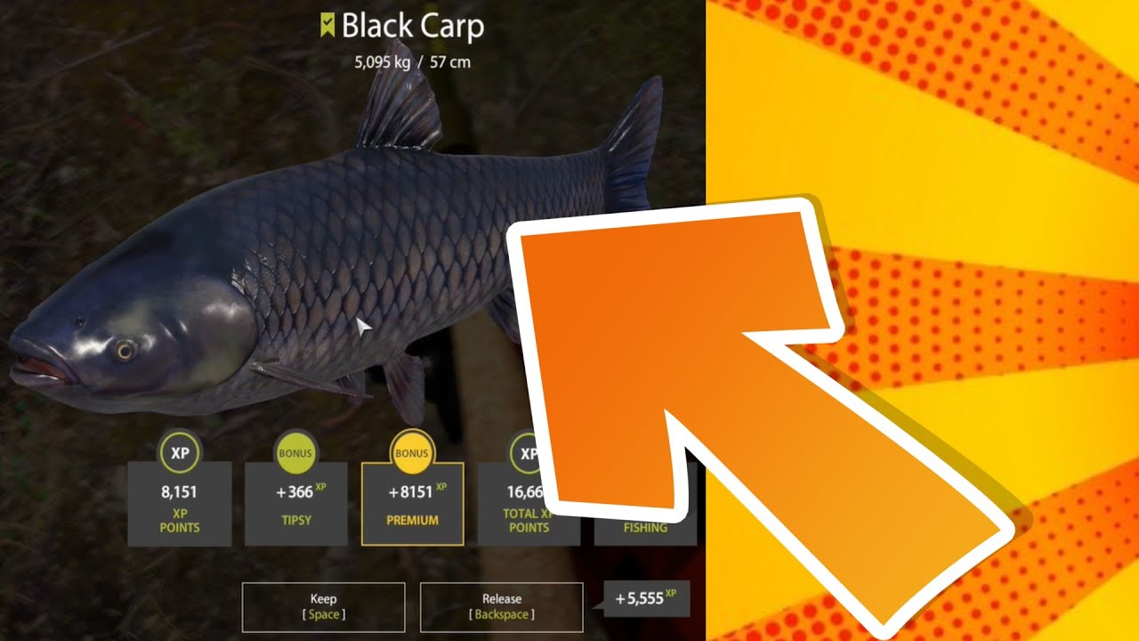 UNA CARPA GIGANTE-GIOCO REALISTICO