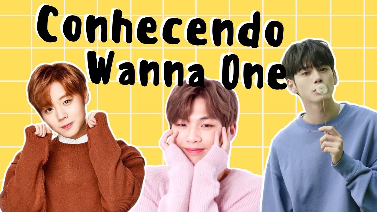 CONHECENDO WANNA ONE