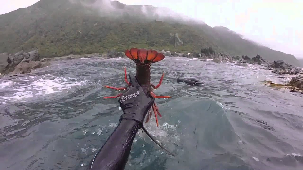 Kaikoura, New Zealand. Crayfish & Paua