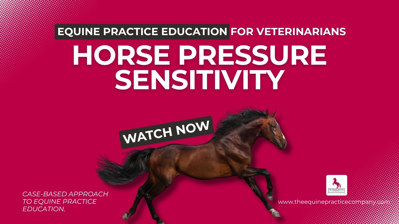 Horse Pressure Sensitivity: How Poor Saddle Fit Triggers Pain Responses