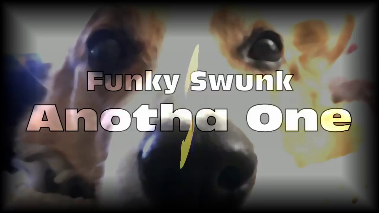 Funky Swunk - Anotha One